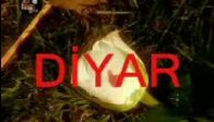 acı hayat kürtçe müzik