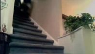video aptal kızlar:))))