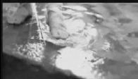 Evanescence-My Immortal Video Clip