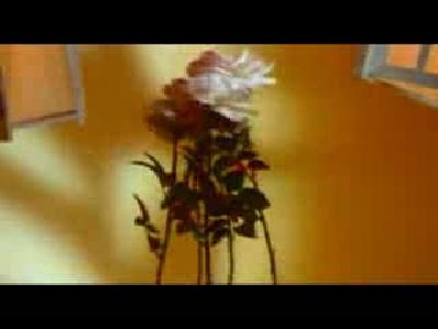 Sibel Can - Padişah 1998